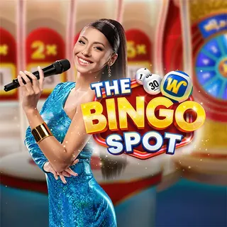 The Bingo Spot — game artwork